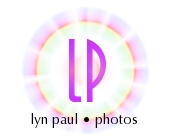 Lyn Paul website 'photos' logo.
